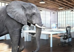 The proverbial elephant in the room need to be acknowledged